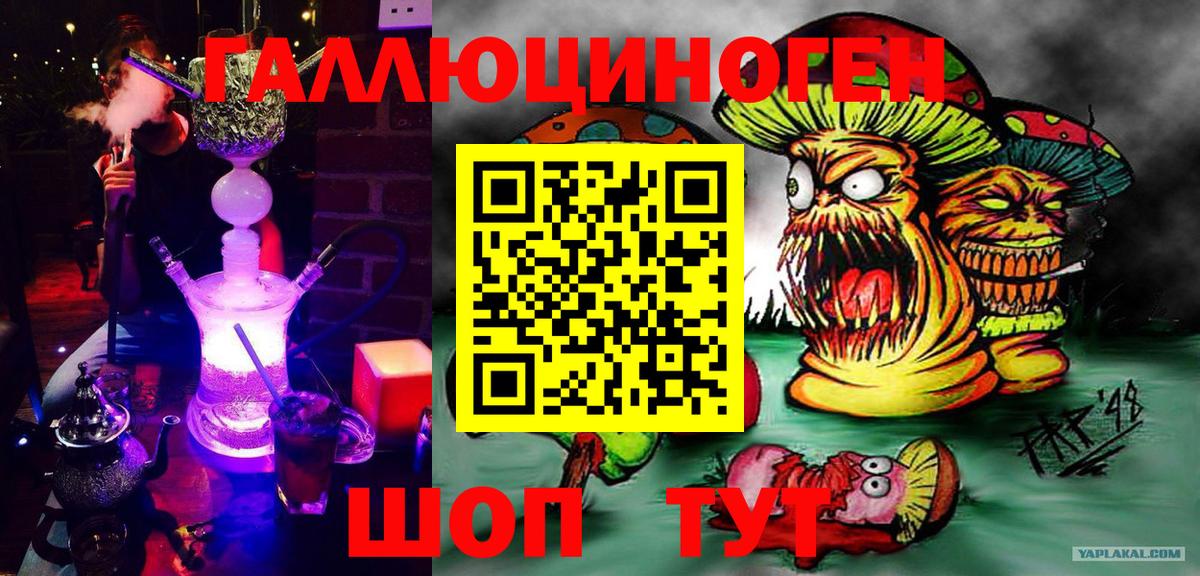 Галлюциногенные грибы Psilocybine cubensis Полысаево